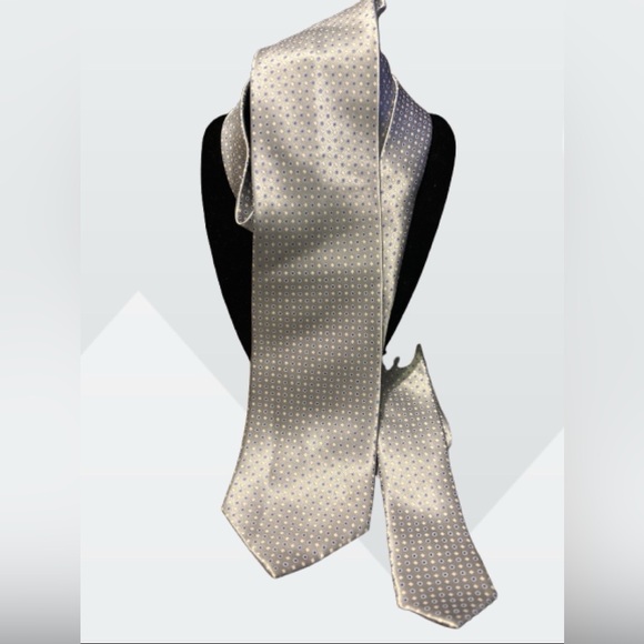 Free with Purchase - Vintage Stefano Ricci Silver Silk Tie - Picture 5 of 8